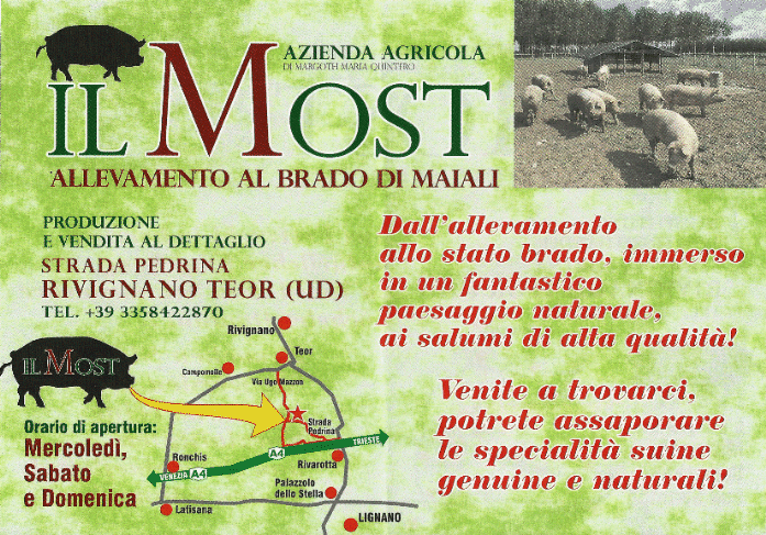 IL MOSTO 2 IL MOSTO 2 - IT GER