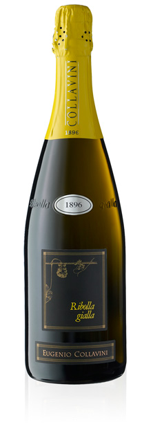 VINO ribolla gialla DELLA PROZUZIONE DI COLLAVINI
