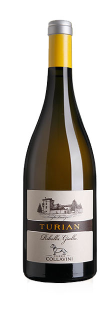 vino broy DELLA PRODUZIONE COLLAVINII